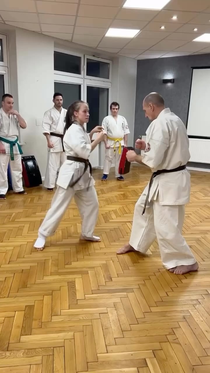Post 5 by Kobudo Mart on Instagram (video)