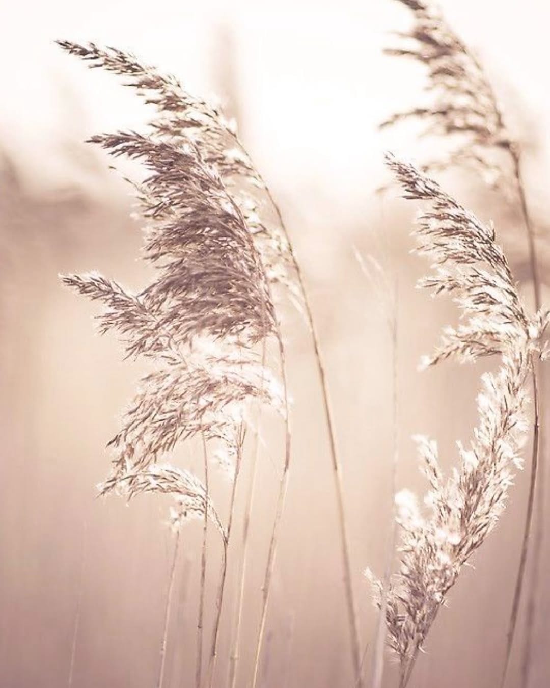 Post 10 by Christina ♡ on Instagram (image)
