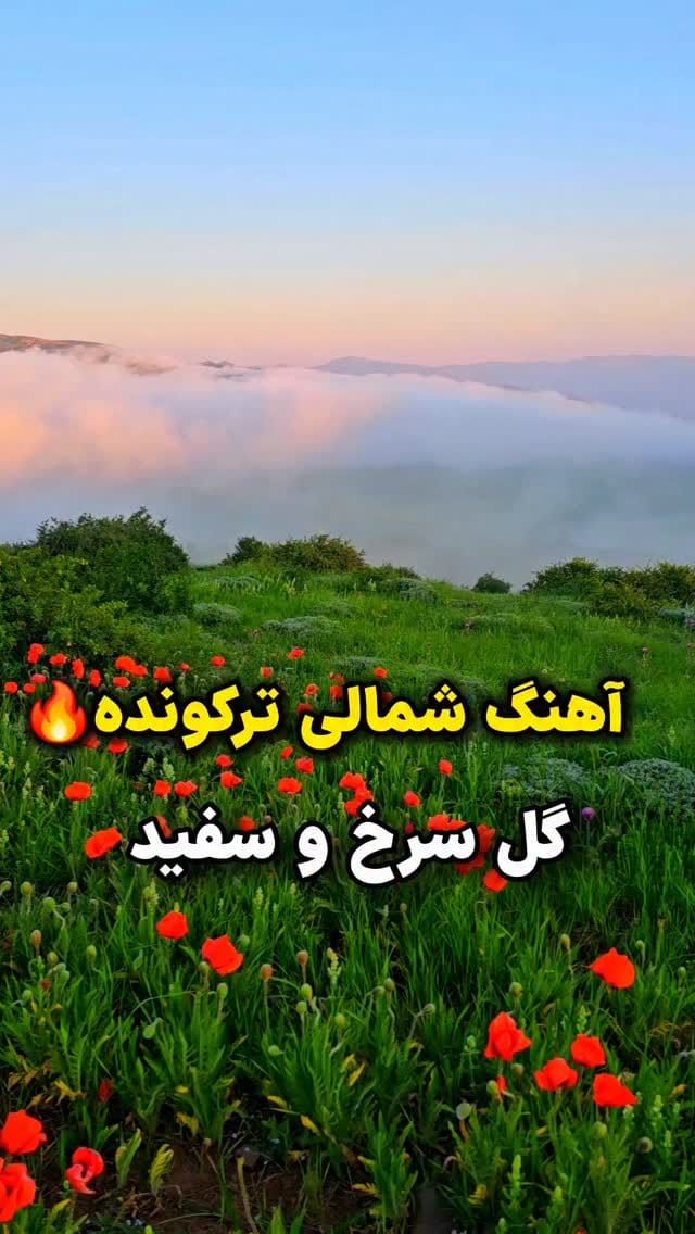 Post 6 by گیلان مستند | روستایی | شمال | گردشگری on Instagram (video)