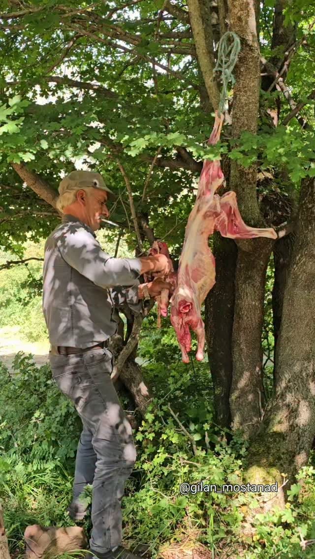 Post 2 by گیلان مستند | روستایی | شمال | گردشگری on Instagram (video)