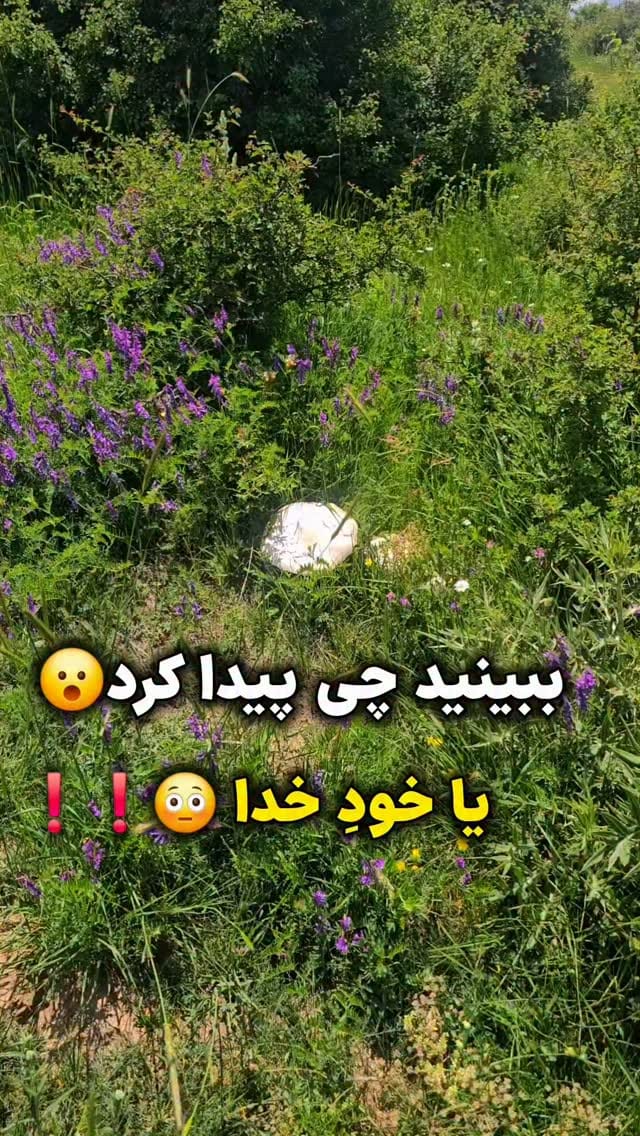 Post 1 by گیلان مستند | روستایی | شمال | گردشگری on Instagram (video)