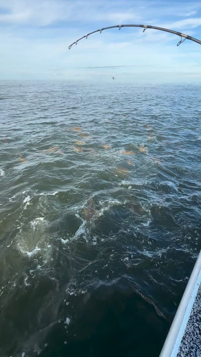Post 3 by Paradise Outfitters on Instagram (video)
