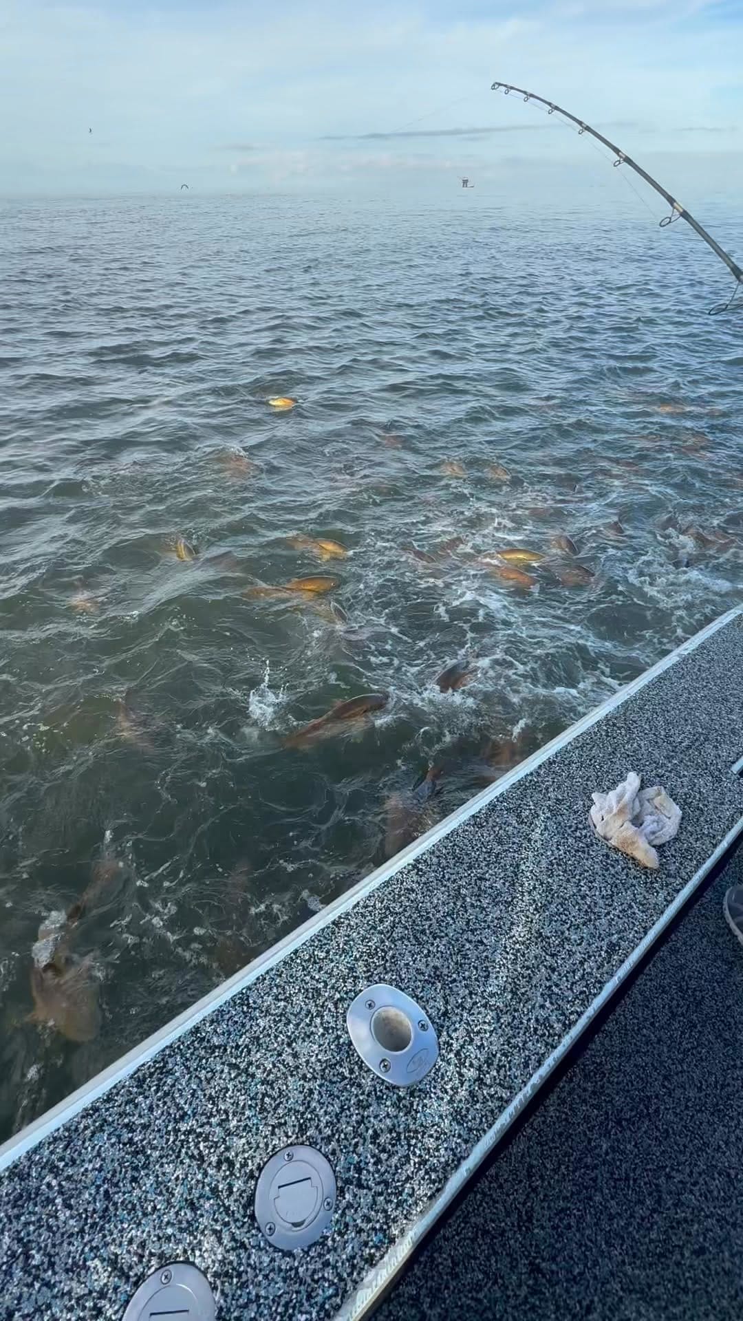 Post 2 by Paradise Outfitters on Instagram (video)