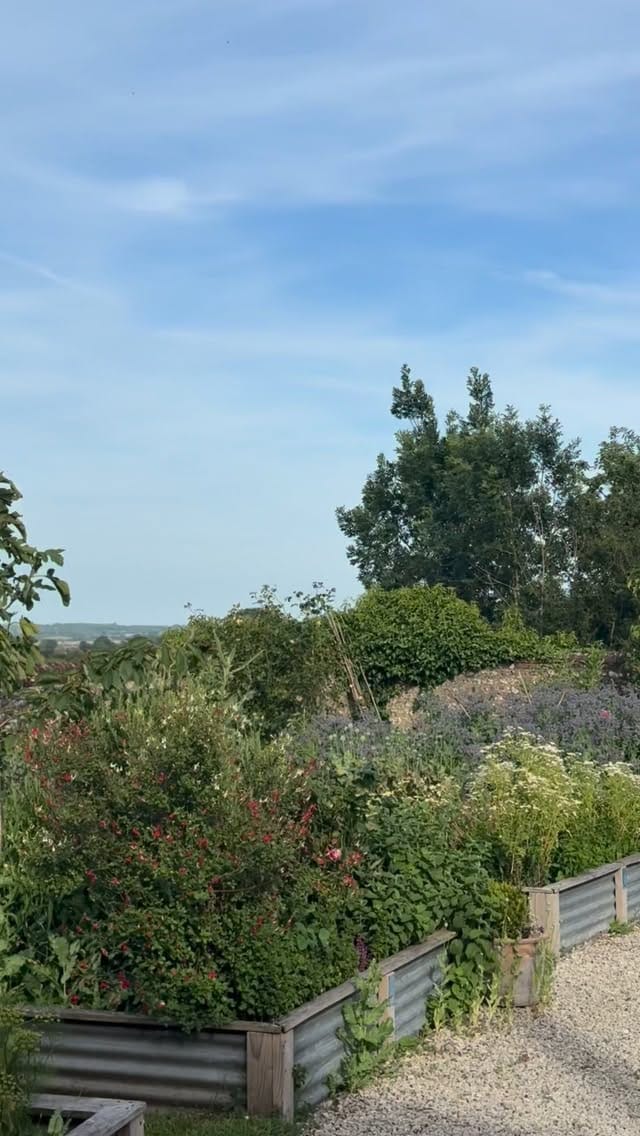 Post 6 by Nick Weston on Instagram (video)
