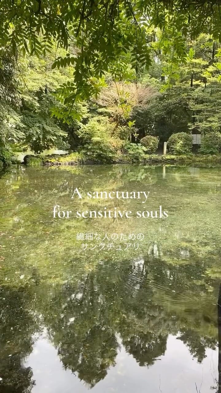 Post 1 by ✴︎Tomoko Nia✴︎ on Instagram (video)