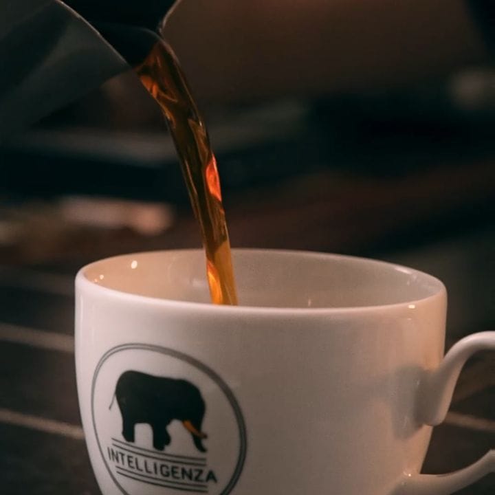 Post 8 by Intelligenza on Instagram (video)