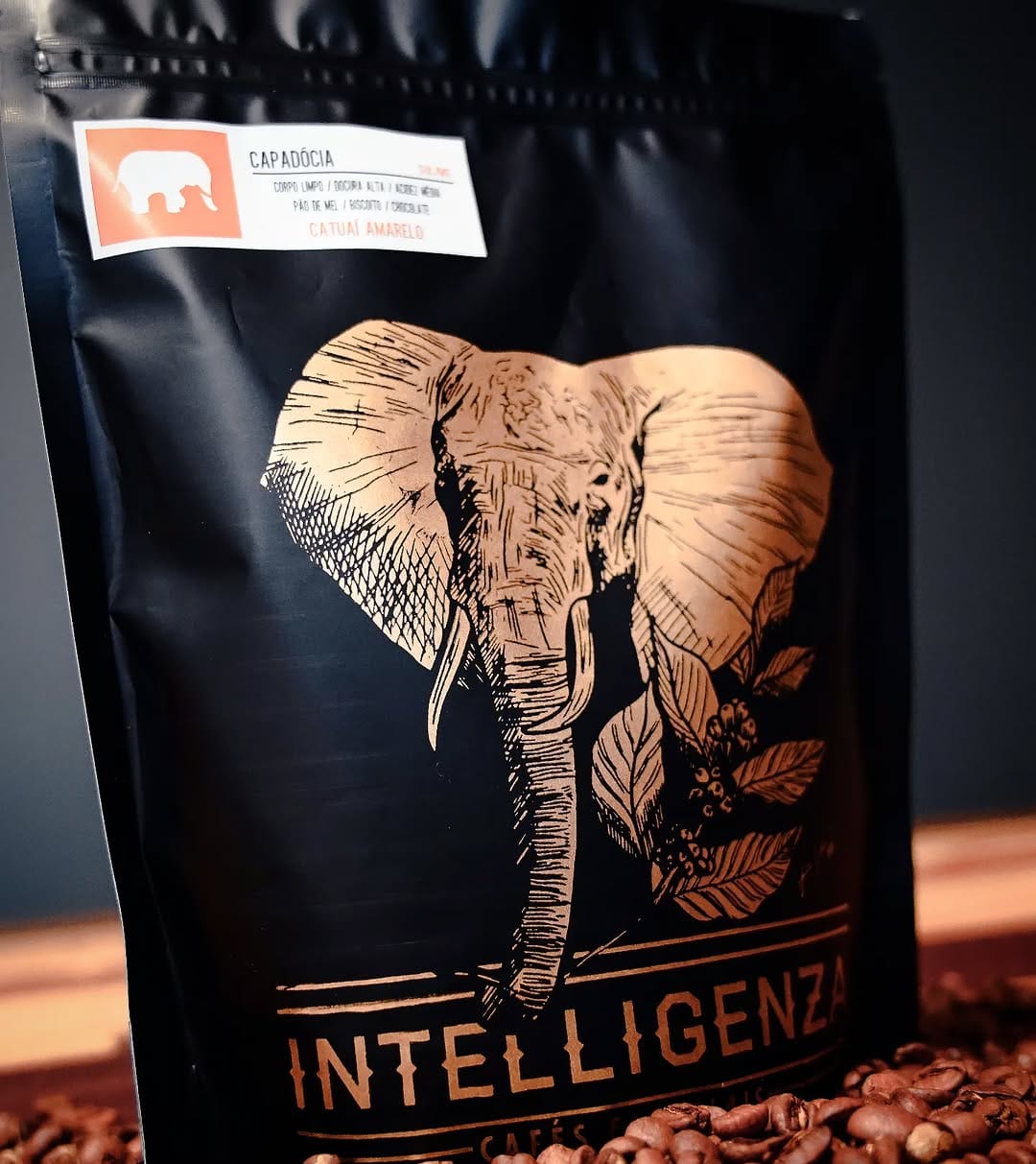 Post 6 by Intelligenza on Instagram (image)