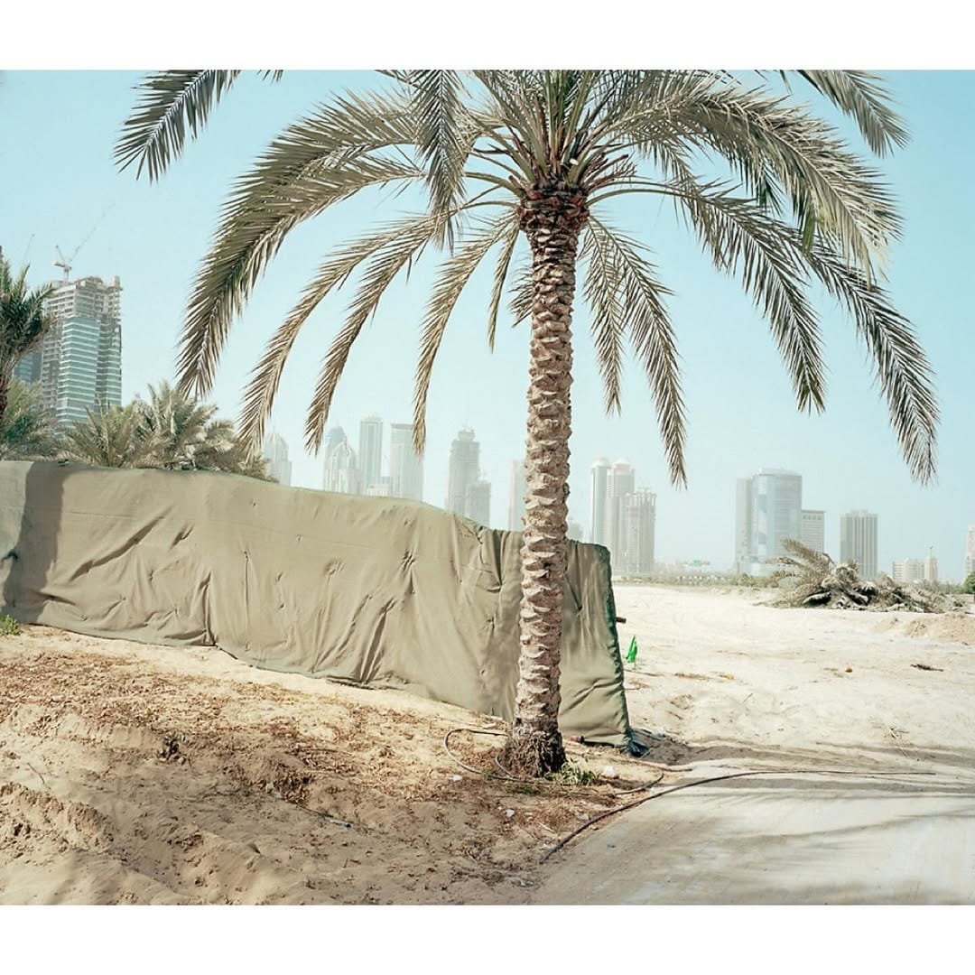 Post 4 by Daniele Mattioli on Instagram (image)