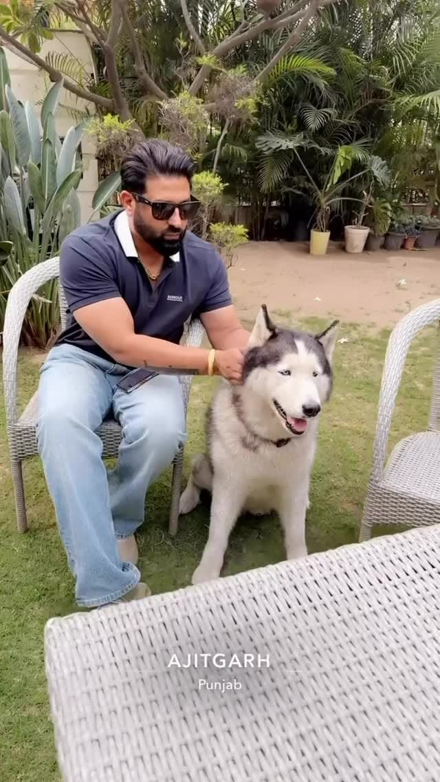 Post 7 by Harsimran King on Instagram (video)