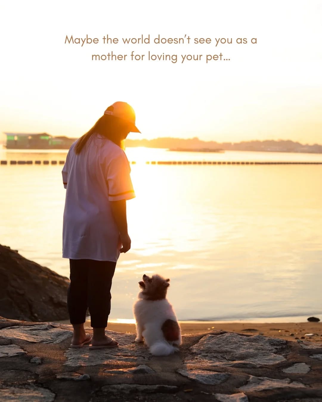 Post 5 by Sniff Stories |Pet Photography & Videography on Instagram (carousel)