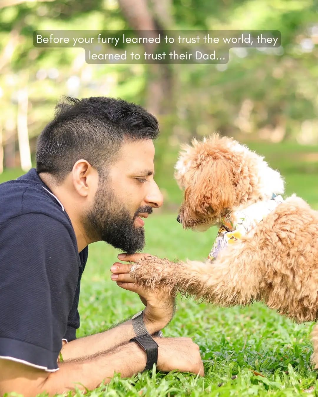 Post 3 by Sniff Stories |Pet Photography & Videography on Instagram (carousel)