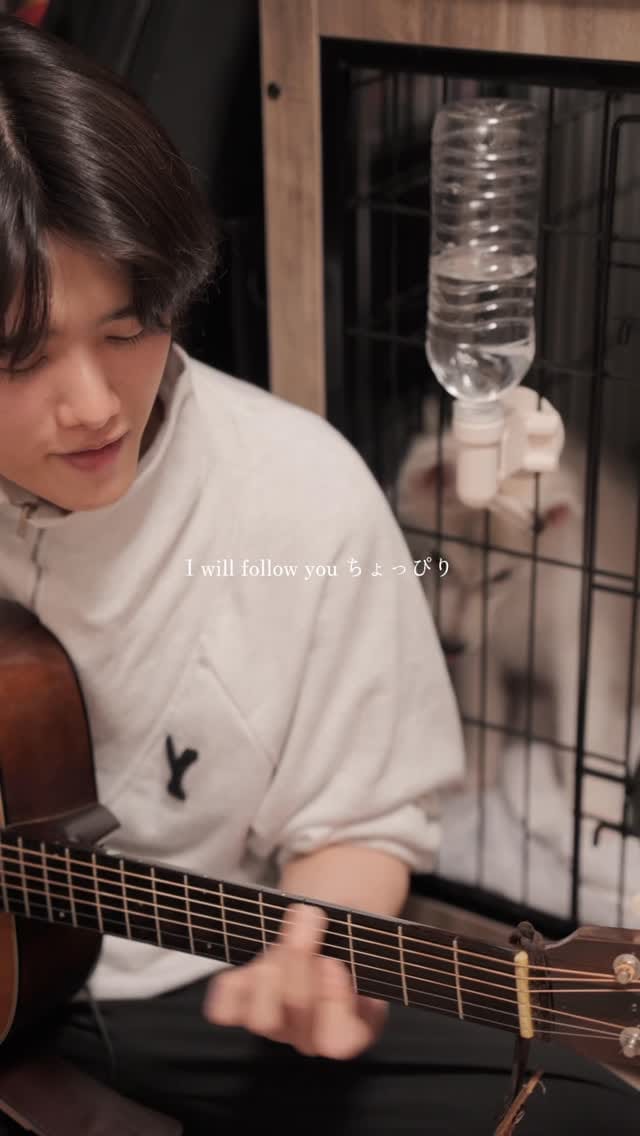 Post 9 by Hibari on Instagram (video)