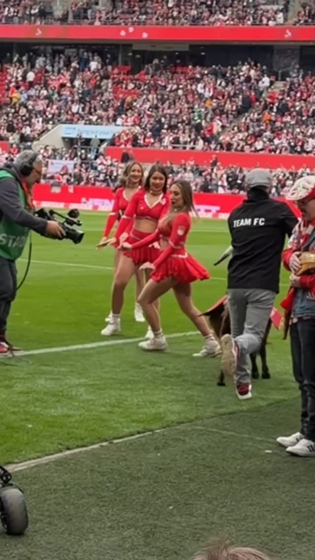 Post 8 by Cheerleader des 1.FC Köln e.V. on Instagram (video)