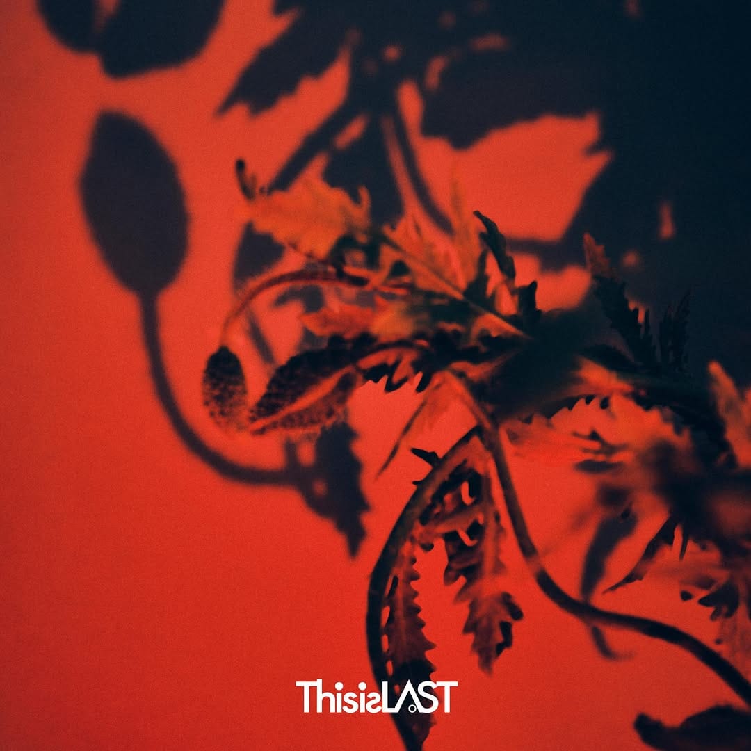 Post 7 by This is LAST on Instagram (image)