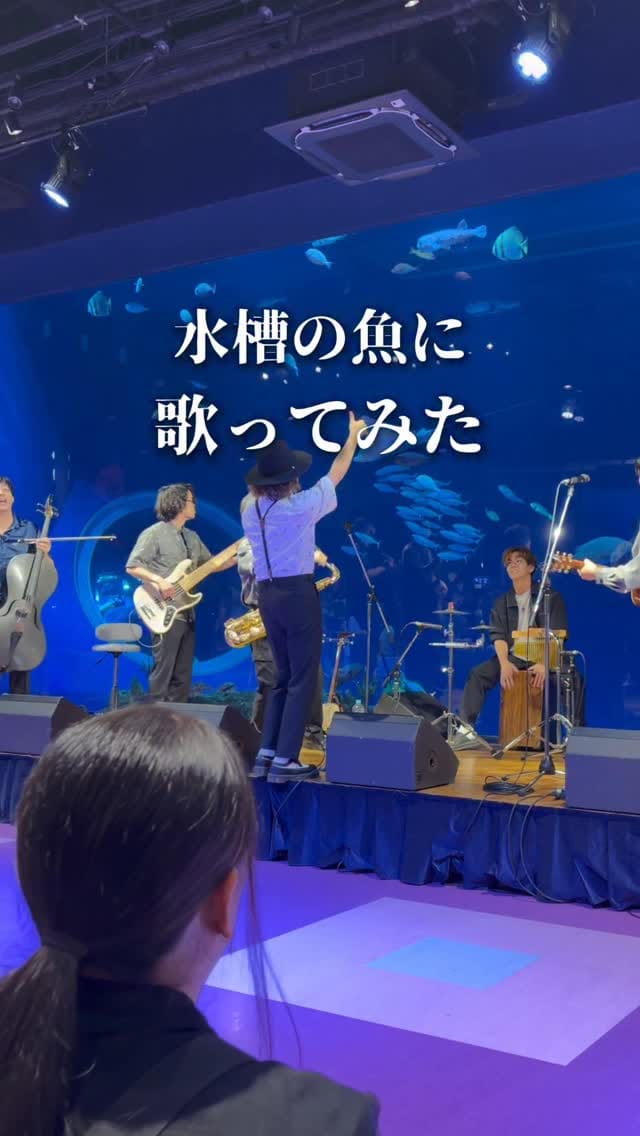 Post 7 by Teechi-てぃーち on Instagram (video)