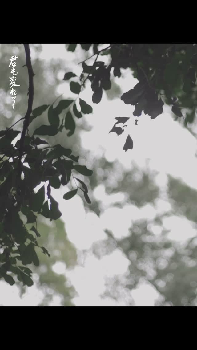 Post 5 by Alexx Hermánn ♪ on Instagram (video)