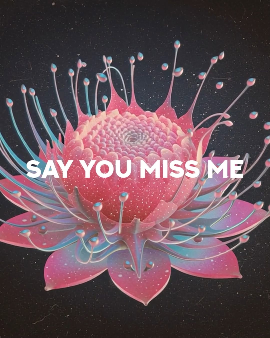 Post 2 by 𝐓𝐀𝐈𝐆𝐀 on Instagram (video)