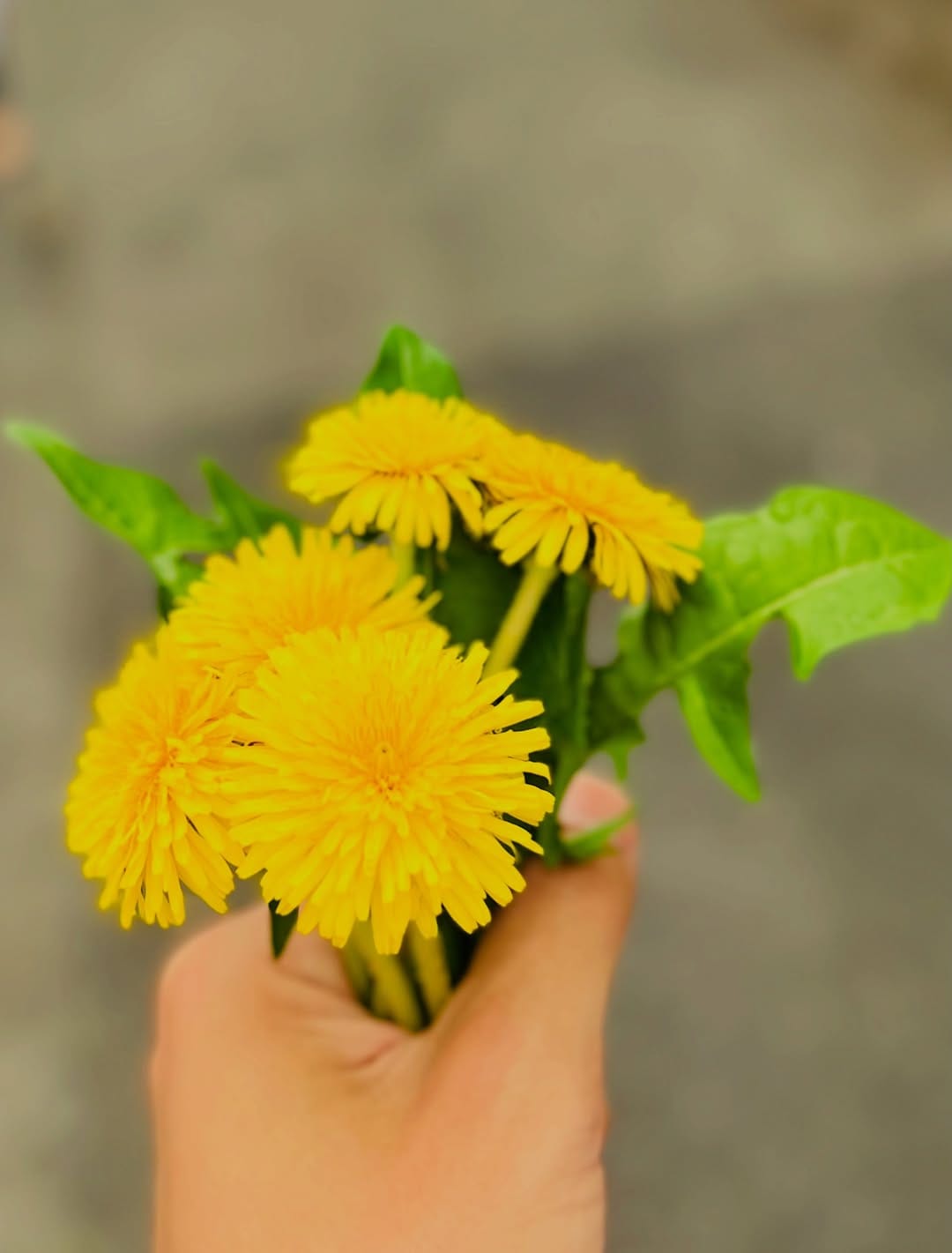 Post 3 by Ryo Natoyama(名渡山遼) on Instagram (image)