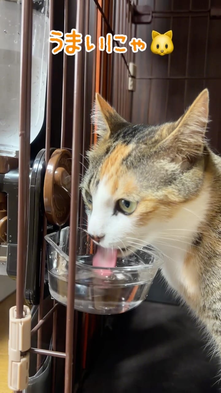 Post 4 by Keisandeath on Instagram (video)