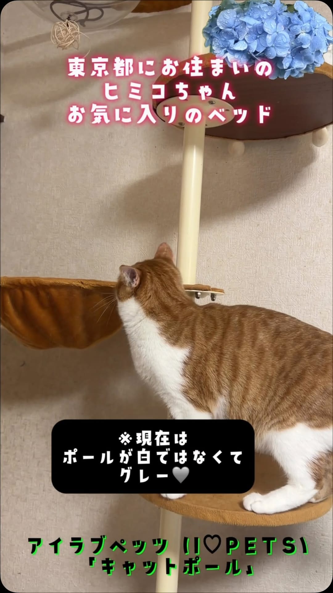 Post 5 by Keisandeath on Instagram (video)