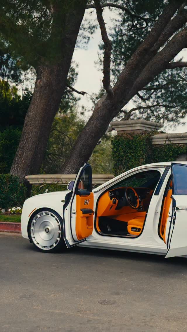 Post 3 by The Platinum Group on Instagram (video)