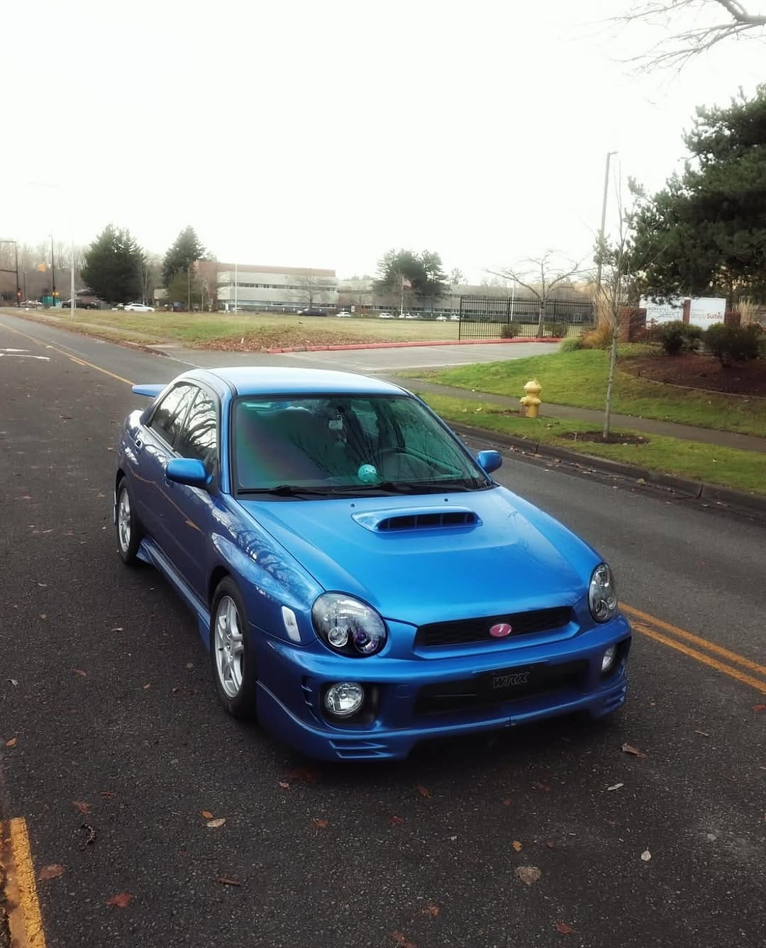 Post 7 by Bugeye Family on Instagram (image)