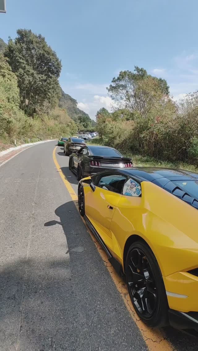 Post 9 by El NZ 🐓 on Instagram (video)