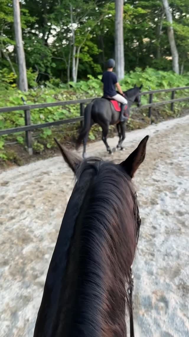 Post 6 by 岩﨑 茉莉亜(髙田) / Maria Iwasaki(Takada) on Instagram (video)