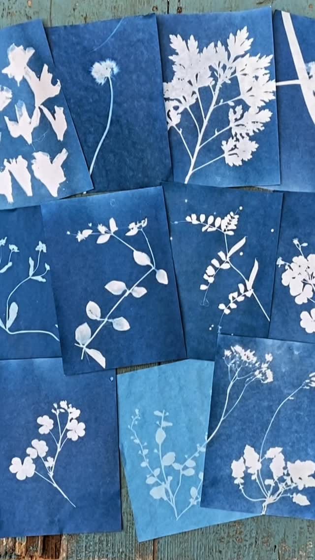 Post 6 by 良原 リエ on Instagram (video)
