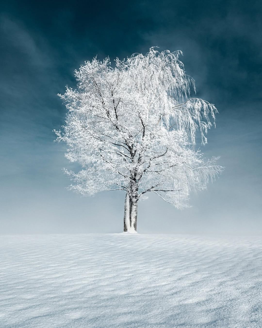 Post 9 by Mikko Lagerstedt on Instagram (carousel)