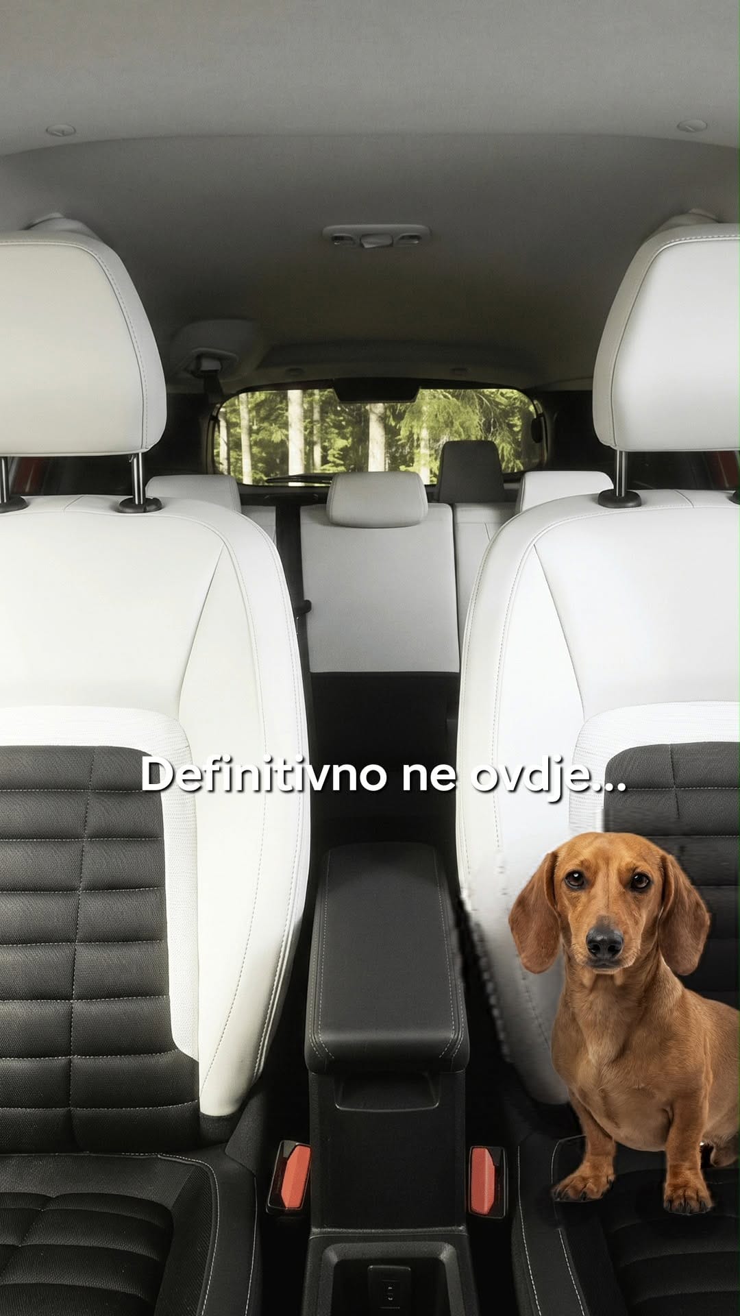 Post 5 by Citroën Hrvatska on Instagram (video)