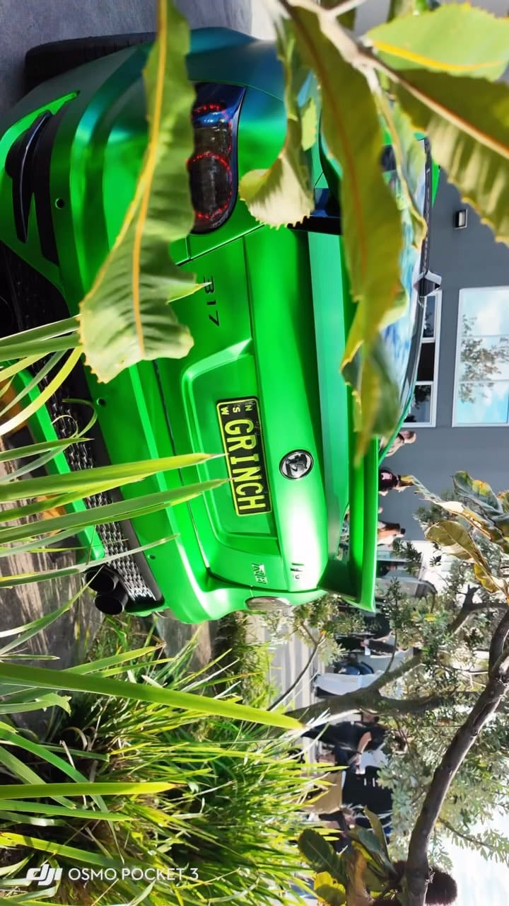Post 2 by GRINCH on Instagram (video)