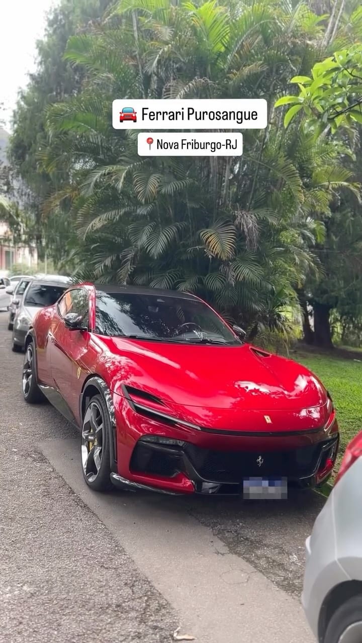 Post 7 by Exóticos No Rio [ENR]® on Instagram (video)