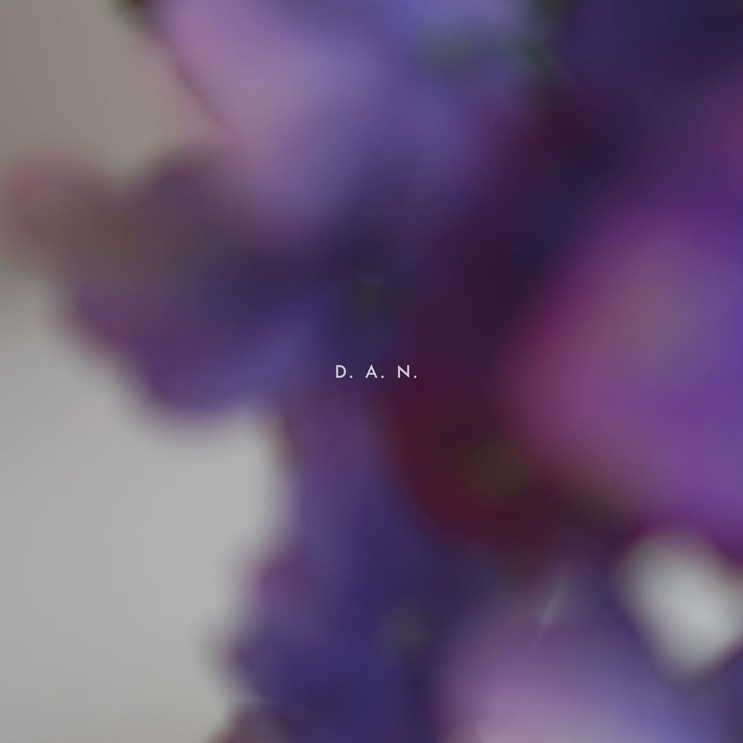 Post 9 by D.A.N. on Instagram (image)