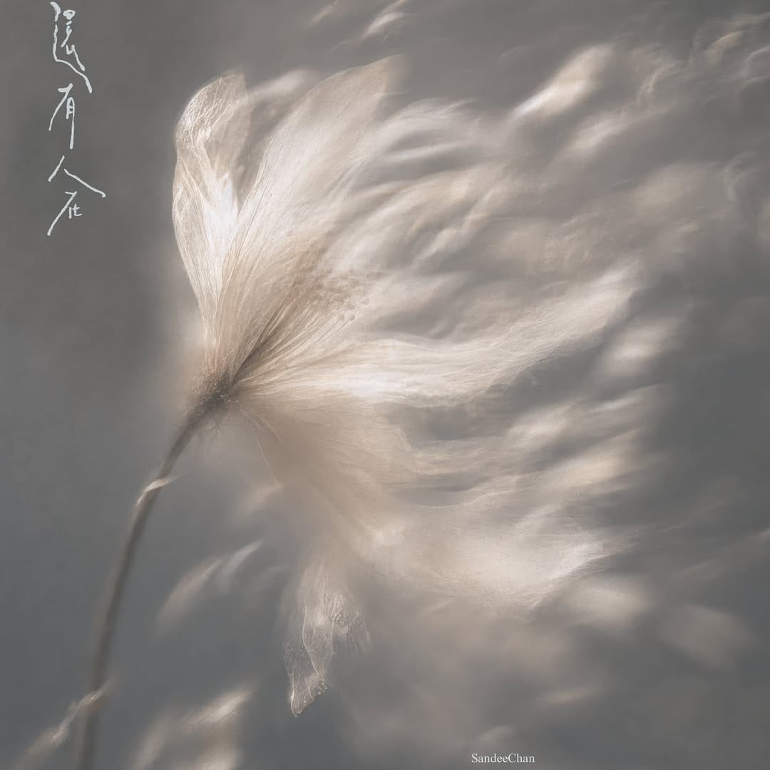 Post 2 by 陳珊妮 on Instagram (image)