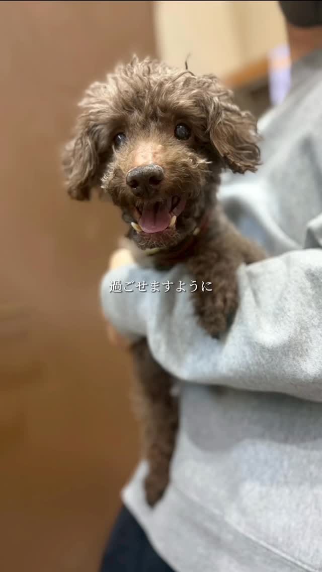 Post 4 by 🐺 メロフロート on Instagram (video)