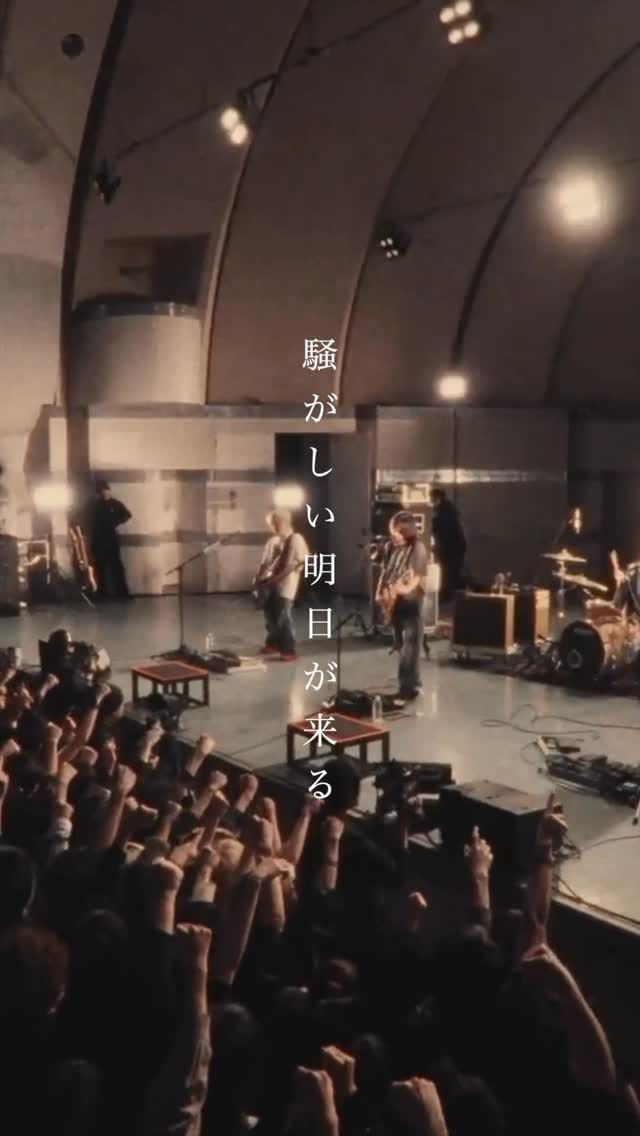 Post 2 by 時速36km on Instagram (video)