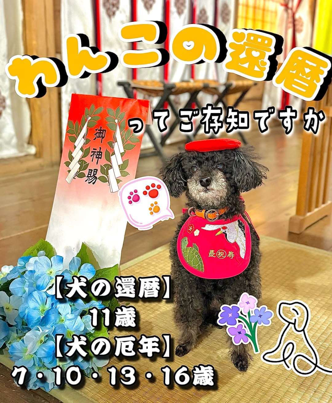 Post 9 by 登米神社🐶🌸【公式】 on Instagram (image)