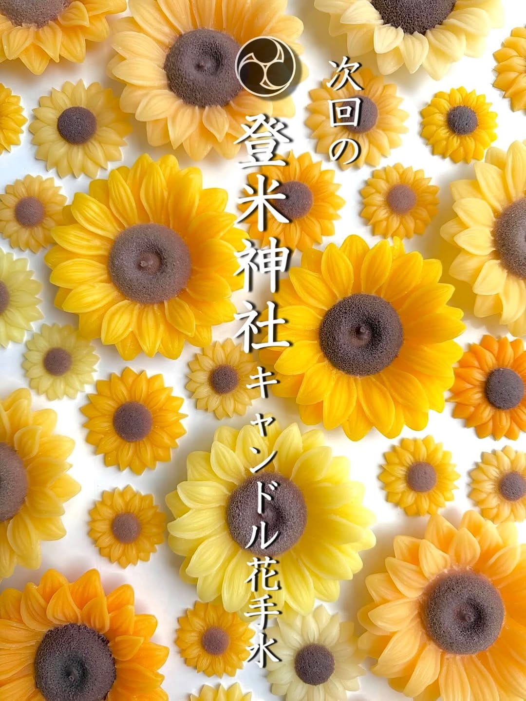 Post 4 by 登米神社🐶🌸【公式】 on Instagram (carousel)