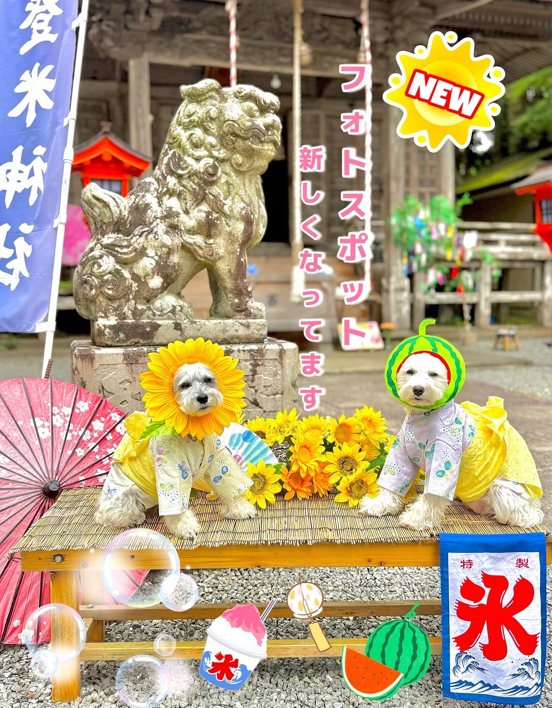 Post 1 by 登米神社🐶🌸【公式】 on Instagram (image)