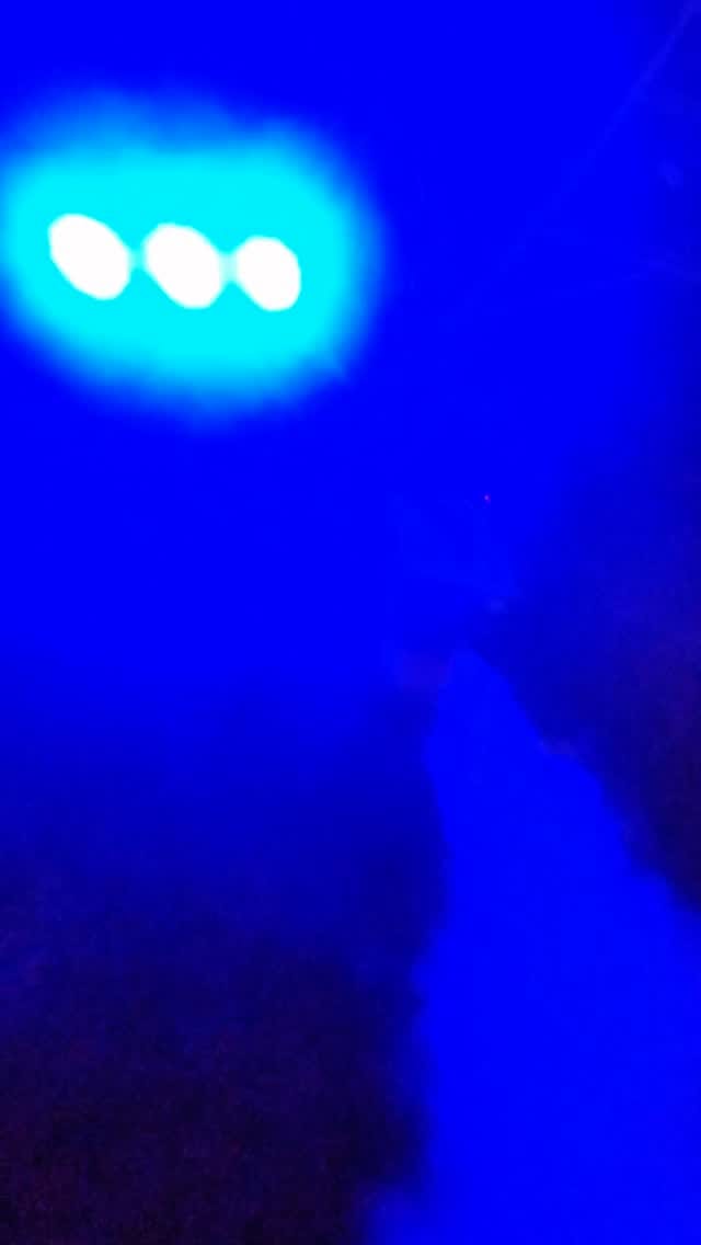 Post 7 by Kenneth Grant on Instagram (video)