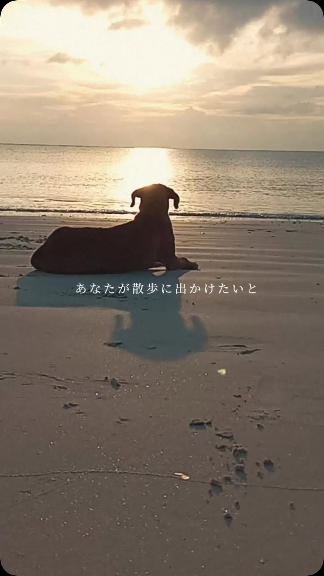 Post 2 by SOUTH BLUE on Instagram (video)