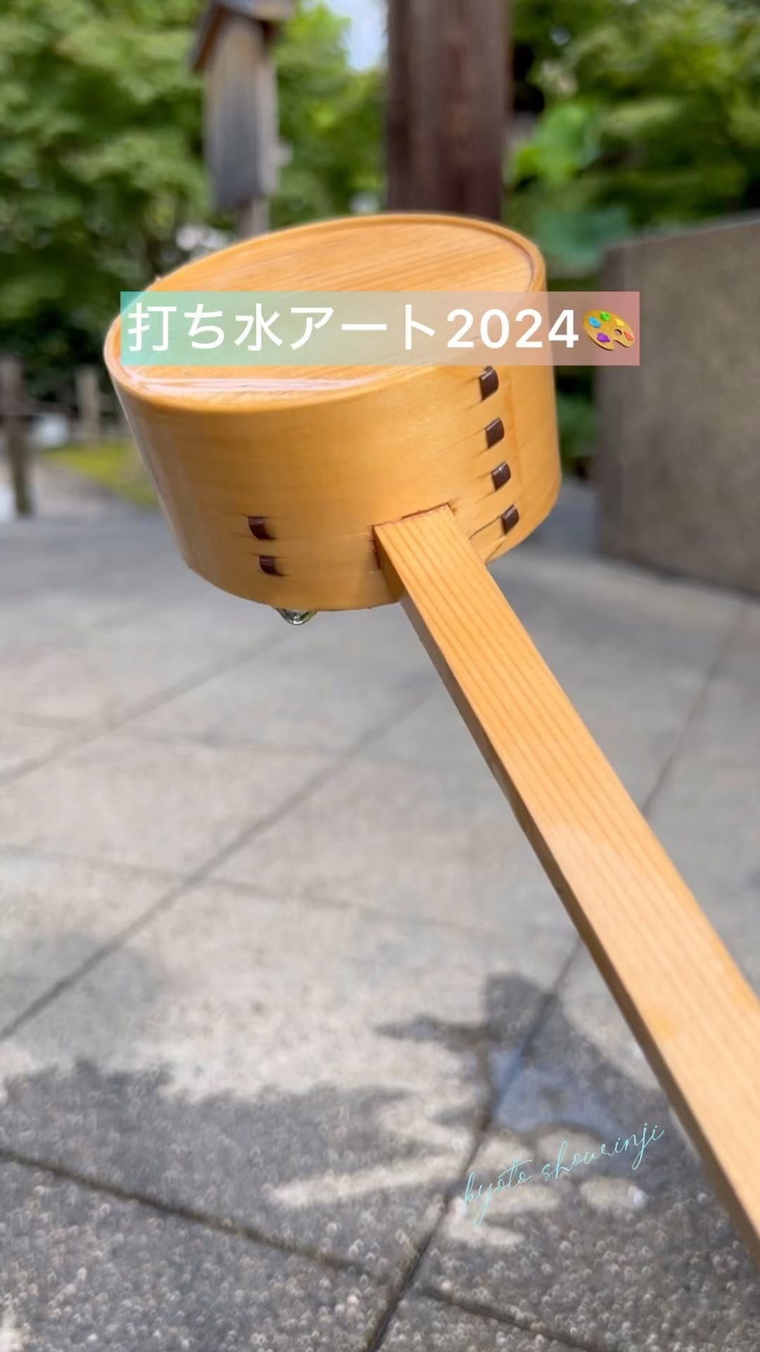 Post 10 by 東福寺塔頭　勝林寺【公式】 on Instagram (video)