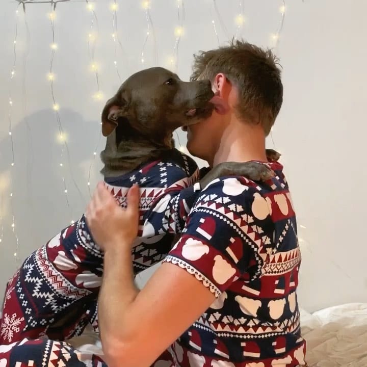 Post 3 by The Adorabulls on Instagram (video)