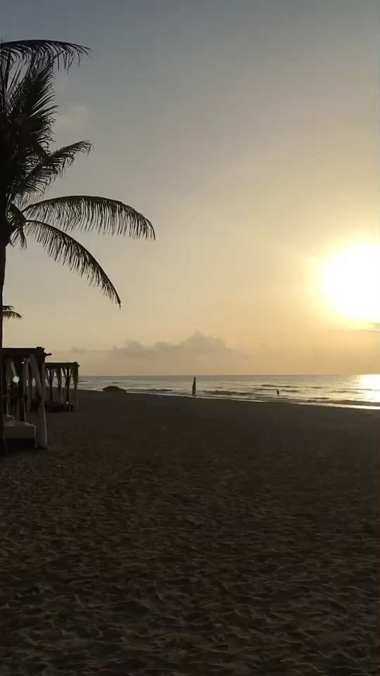 Post 5 by 沖縄Lovers on Instagram (video)