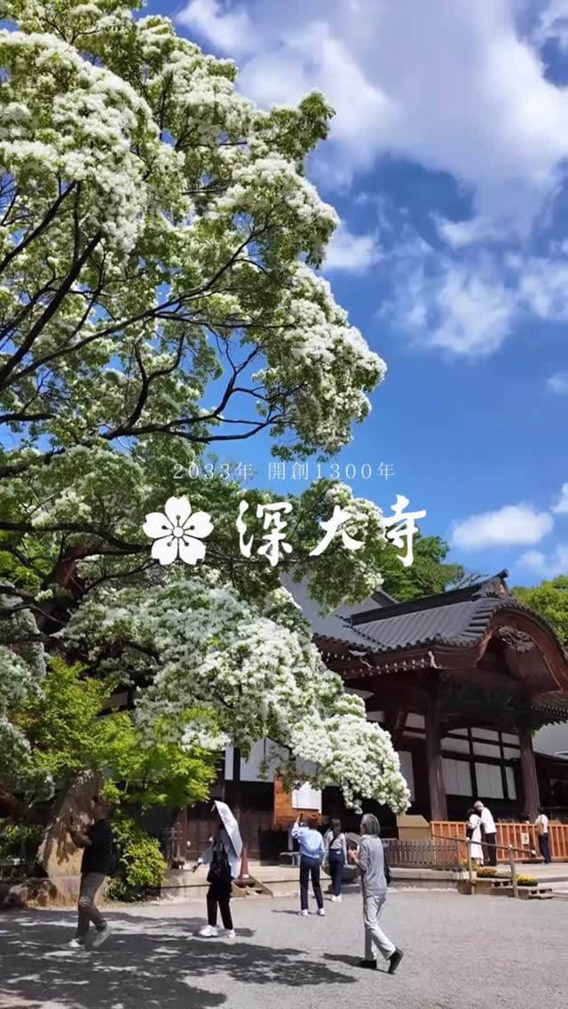 Post 7 by 深大寺【公式】 Jindaiji temple on Instagram (video)