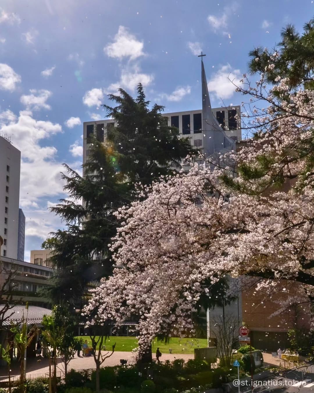 Post 7 by カトリック麹町 聖イグナチオ教会【公式】 on Instagram (carousel)
