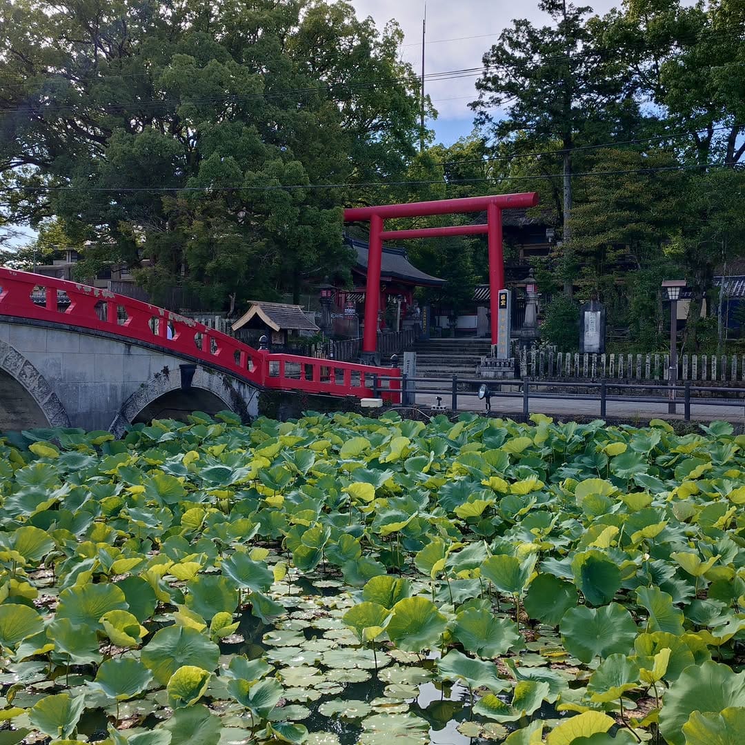 Post 9 by 青井阿蘇神社 on Instagram (image)