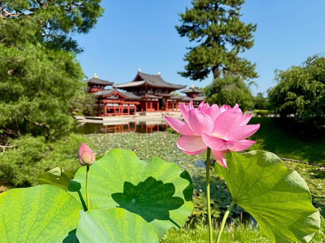 Post 8 by 平等院 Byodoin Temple on Instagram (carousel)