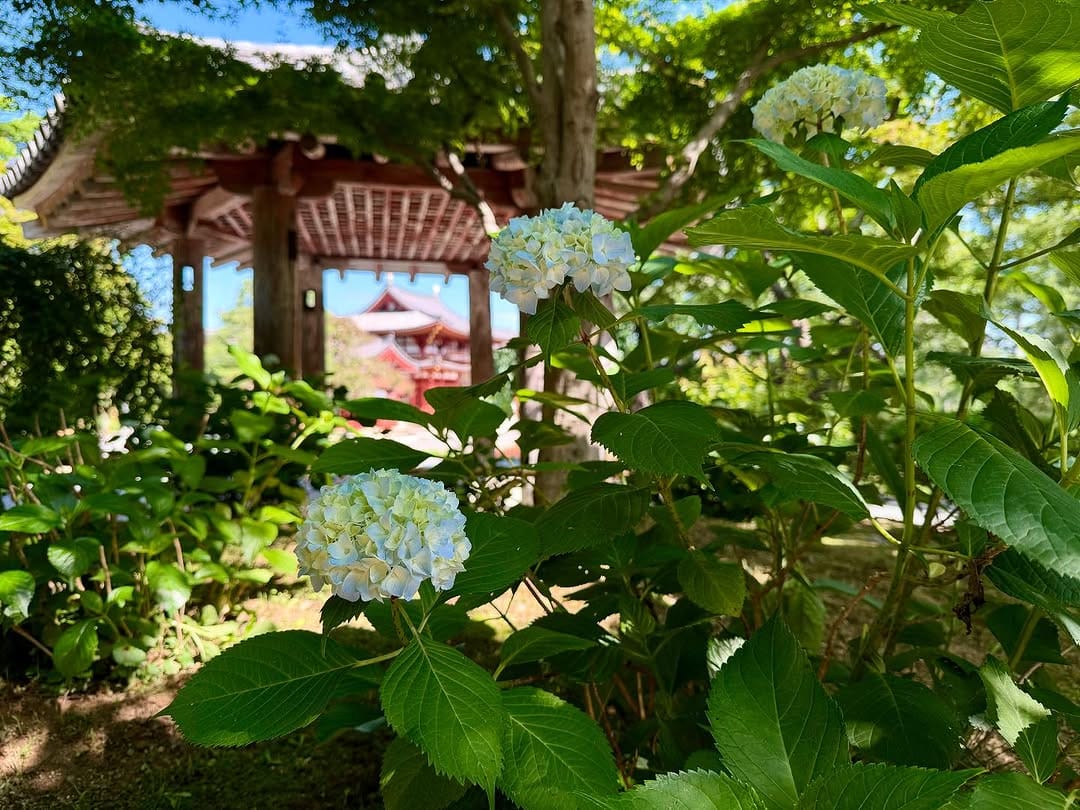Post 9 by 平等院 Byodoin Temple on Instagram (carousel)